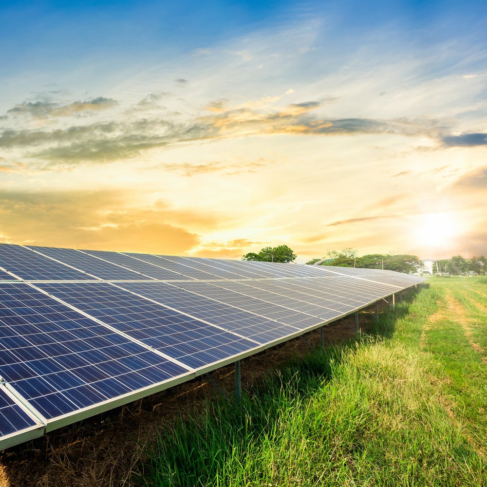 solar panels on a green meadow 